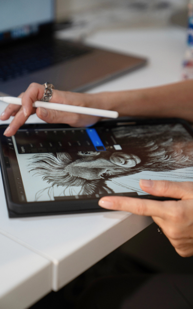 How Do You Create A Web Design?